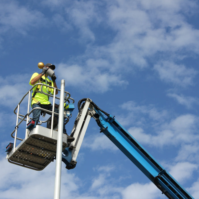 We're on the news! Restoring the Avenue of Flags